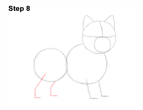 How to Draw a West Highland White Terrier Puppy Dog 8