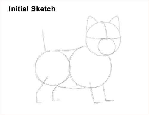 How to Draw a West Highland White Terrier Puppy Dog Guide Lines