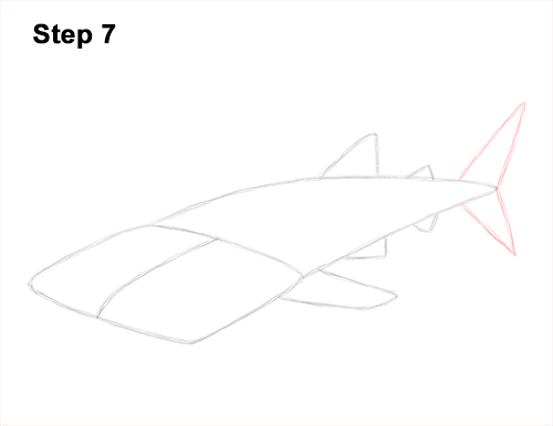 How to Draw a Whale Shark 7