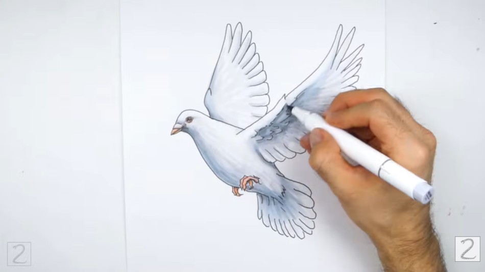 Color Dove Base Tone Begin Adding Color