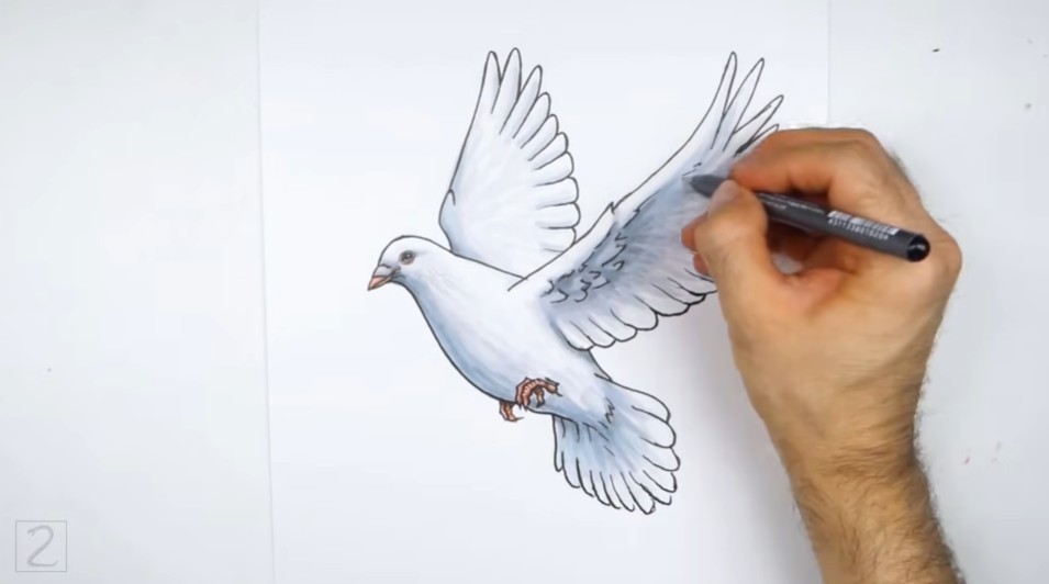 Color Dove Details Finish Up the Details with Pen
