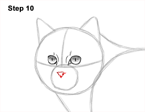 Draw a European Wildcat 10 How to Draw a European Wildcat Cat Side View 10