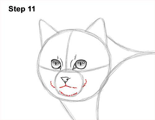 Draw a European Wildcat 11 How to Draw a European Wildcat Cat Side View 11