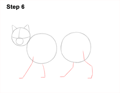 Draw a European Wildcat 6 How to Draw a European Wildcat Cat Side View 6