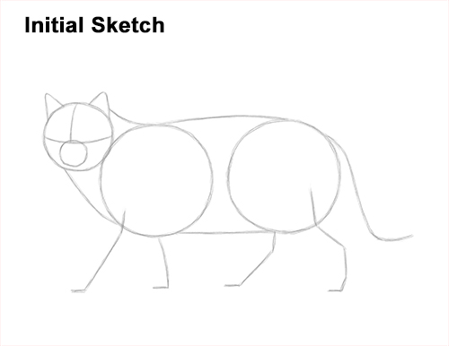 Draw a European Wildcat Guidelines How to Draw a European Wildcat Cat Side View Guides Lines