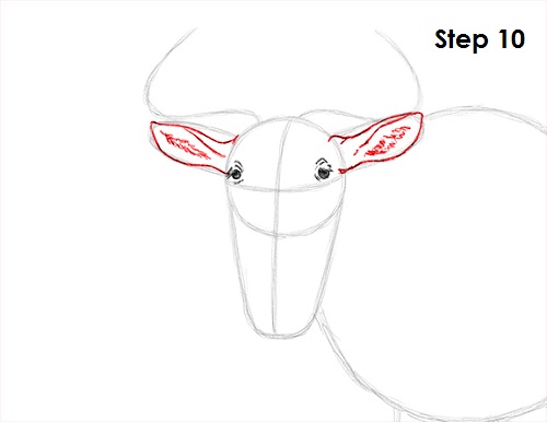 Wildebeest Drawing 10 Draw Wildebeest 10