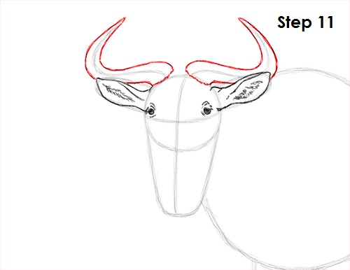 Wildebeest Drawing 11 Draw Wildebeest 11