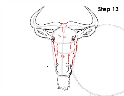 Wildebeest Drawing 13 Draw Wildebeest 13