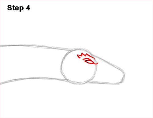 How to Draw a Wind Dragon Flying Wings 4
