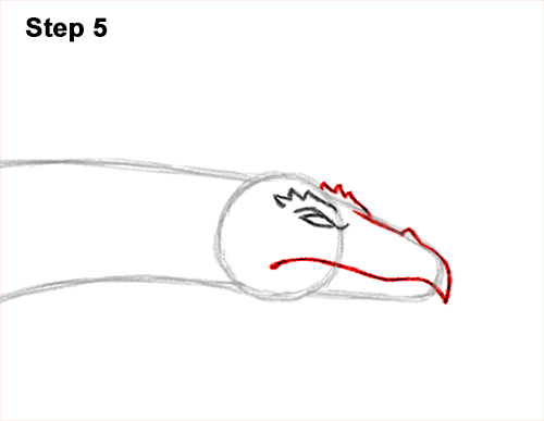 Draw a Flying Wind Dragon 5 How to Draw a Wind Dragon Flying Wings 5