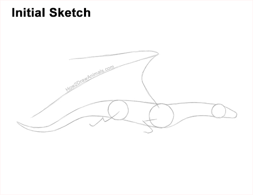 How to Draw a Wind Dragon Flying Wings Guides Lines