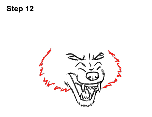Draw Growling Cartoon Wolf 12 Draw Angry Mean Snarling Cartoon Wolf 12
