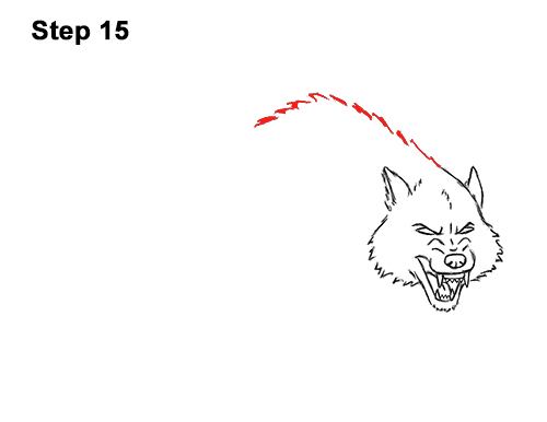 Draw Growling Cartoon Wolf 15 Draw Angry Mean Snarling Cartoon Wolf 15
