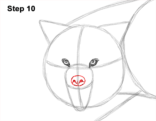 Draw Wolf Snarling 10