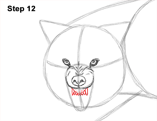 Draw Wolf Snarling 12
