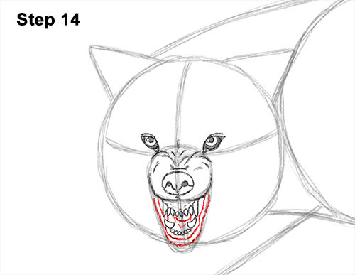 Draw Wolf Snarling 14