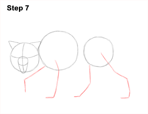 Wolf Growling Drawing 7 Draw Wolf Snarling 7