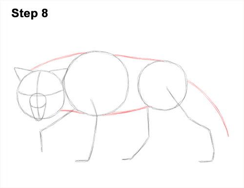 Wolf Growling Drawing 8 Draw Wolf Snarling 8