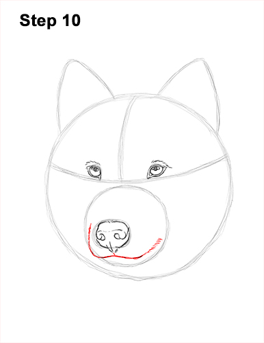 How to Draw Gray Wolf Head Portrait 10