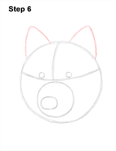 How to Draw Gray Wolf Head Portrait 6