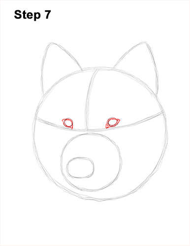 How to Draw Gray Wolf Head Portrait 7