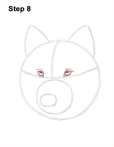 How to Draw Gray Wolf Head Portrait 8