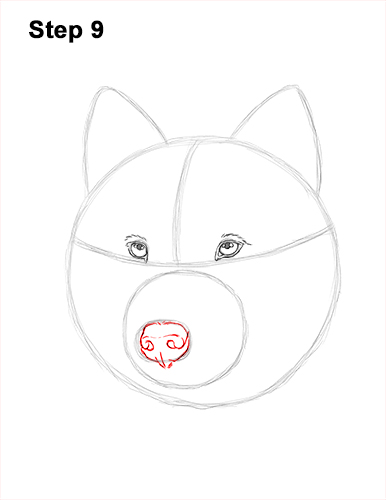 How to Draw Gray Wolf Head Portrait 9