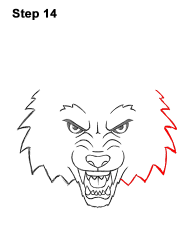 How to Draw Angry Growling Snarling Cartoon Wolf Head 14