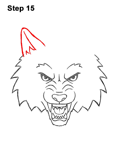 How to Draw Angry Growling Snarling Cartoon Wolf Head 15