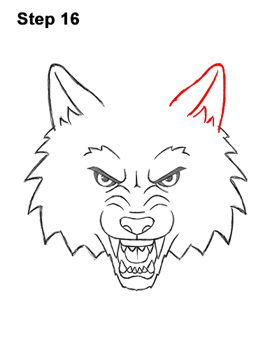 Draw a Cartoon Wolf Head 16 How to Draw Angry Growling Snarling Cartoon Wolf Head 16