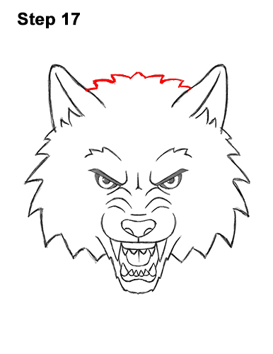Draw a Cartoon Wolf Head 17 How to Draw Angry Growling Snarling Cartoon Wolf Head 17