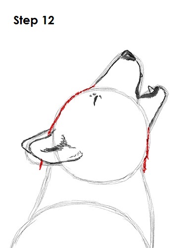 Draw Wolf Howling 12