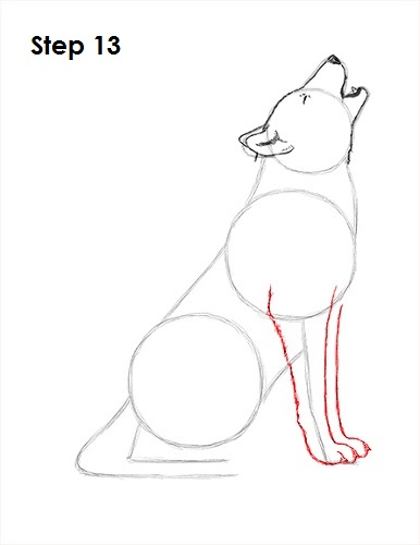 Draw Wolf Howling 13