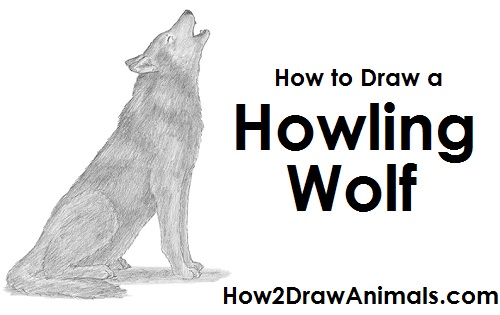 Draw a Howling Wolf Draw Wolf Howling