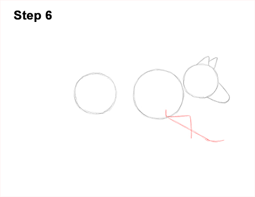 How to Draw a Grey Timber Wolf Running Hunting 6
