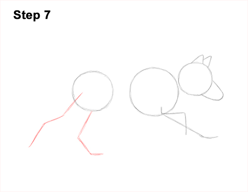 How to Draw a Grey Timber Wolf Running Hunting 7