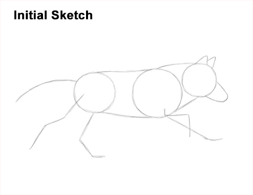 How to Draw a Grey Timber Wolf Running Hunting Guide Lines