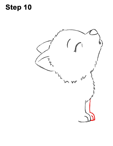 Draw a Cartoon Bat Wolf Pup Howling 10 How to Draw Cute Little Cartoon Wolf Pup Cub Howling 10
