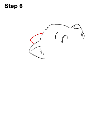 Draw a Cartoon Bat Wolf Pup Howling 6 How to Draw Cute Little Cartoon Wolf Pup Cub Howling 6