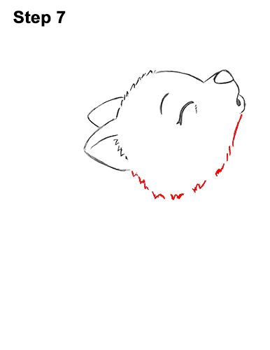 Draw a Cartoon Bat Wolf Pup Howling 7 How to Draw Cute Little Cartoon Wolf Pup Cub Howling 7