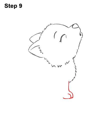 Draw a Cartoon Bat Wolf Pup Howling 9 How to Draw Cute Little Cartoon Wolf Pup Cub Howling 9