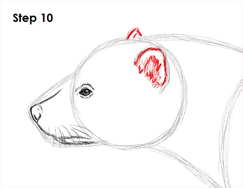 Draw Wolverine 10