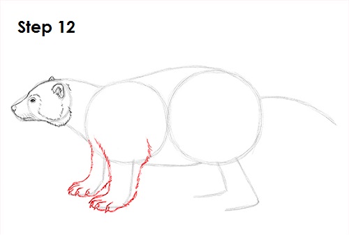 Draw Wolverine 12
