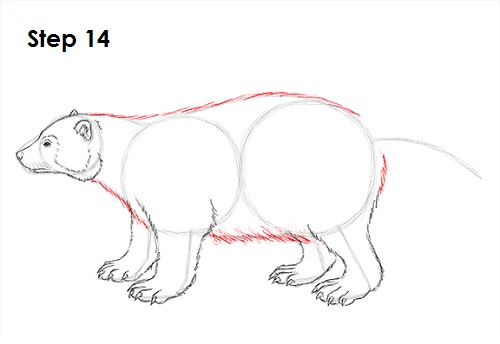 Draw Wolverine 14