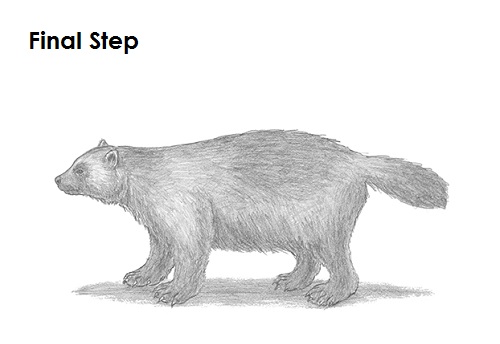 Wolverine Last Draw Wolverine Last