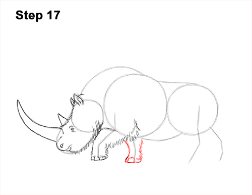 How to Draw a Woolly Rhinoceros 17