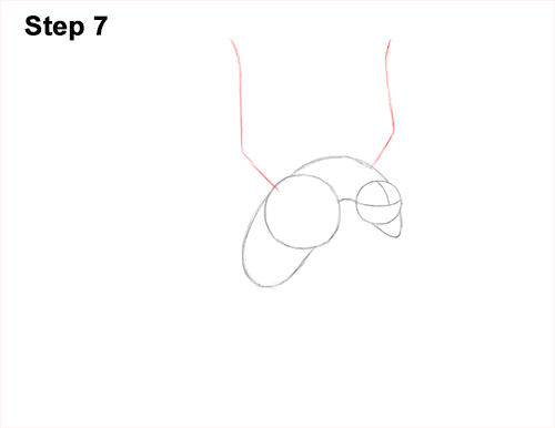 How to Draw Wyvern Dragon Wings Flying 7