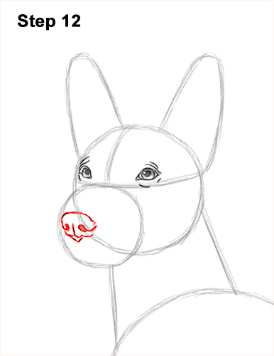How to Draw a Xoloitzcuintle Mexican Hairless Dog 12