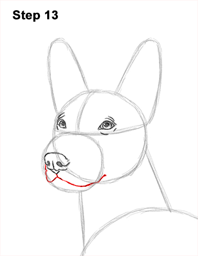 How to Draw a Xoloitzcuintle Mexican Hairless Dog 13