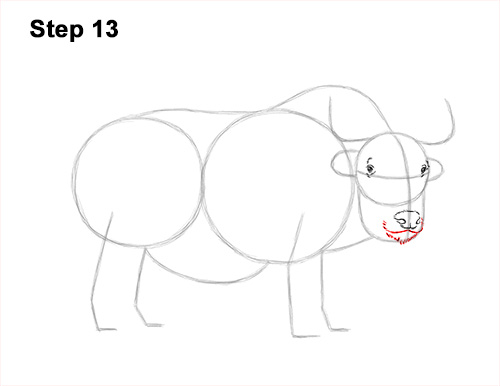 How to Draw a Domestic Himalayan Tibet Yak 13